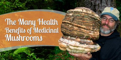 Healing with Mushrooms