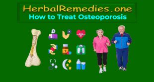 Natural Osteoporosis Treatment