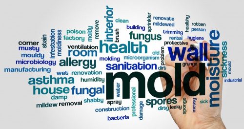 mold allergy